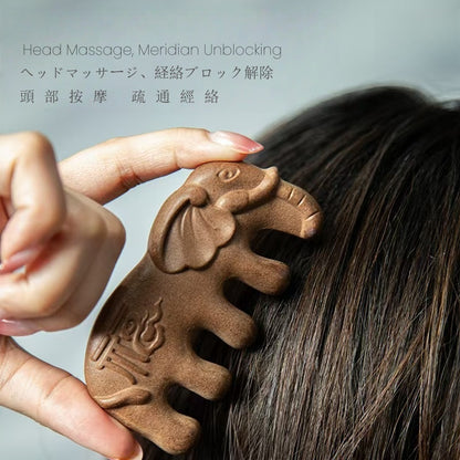 Herbal Pressed Comb, Mother's Day Father's Day Birthday New Year Gifts